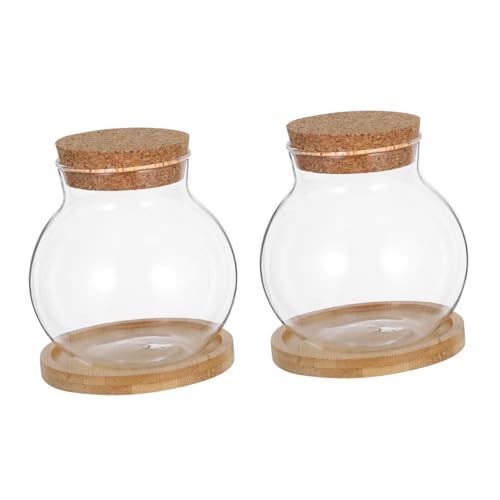 GOOHOCHY 2 Satz Tischpflanzen Terrarium mit Korkdeckel und Bambusunterlage Klare Pflanzgefäße für Blumen und Kleine Gemüse für Büro und Zuhause von GOOHOCHY