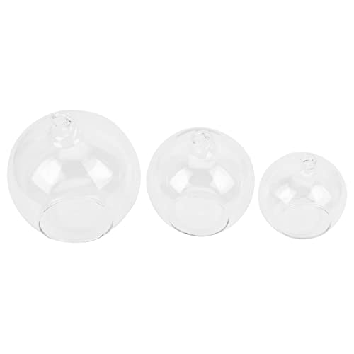 GOOHOCHY 3 Stück Hängende Glasflasche für DIY Mikro Landschaft Transparente Terrarium Flaschen mit Holzstopfen zur Dekoration Wohnzimmer oder Büro GOOHOCHY 3 Stück Hängende Glasflasche für DIY Mikro Landschaft Transparente Terrarium Flaschen mit Holzstopfen zur Dekoration Wohnzimmer oder Büro von GOOHOCHY