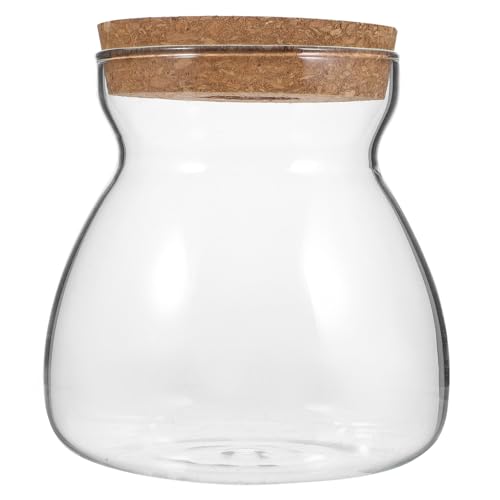 GOOHOCHY Terrarium Glasbehälter für Pflanzen Hydroponisches Ökosystem Mittlerer mit Durchlässigem Deckel für Sukkulenten und Innendekoration für Schlafzimmer Wohnzimmer und Büro von GOOHOCHY