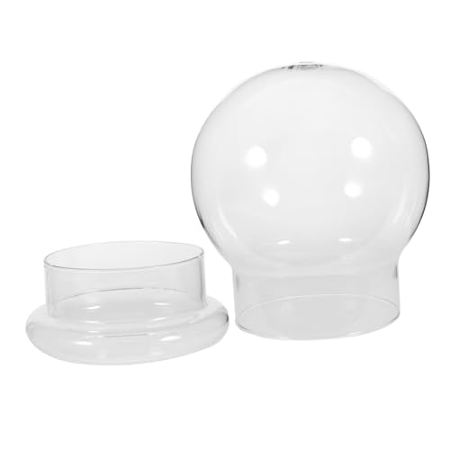 GOOHOCHY Transparentes Glas-Terrarium Ökologische Mikro-landschaftsflasche Sukkulentenflasche Für Schreibtisch Dekorative Pflanzenflasche Mit Kuppeldesign GOOHOCHY Transparentes Glas-Terrarium Ökologische Mikro-landschaftsflasche Sukkulentenflasche Für Schreibtisch Dekorative Pflanzenflasche Mit Kuppeldesign von GOOHOCHY