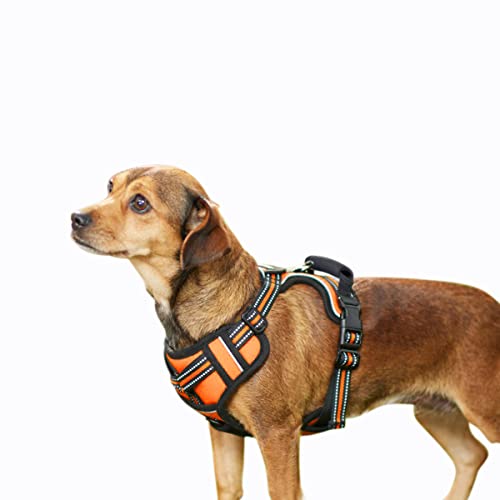 GOOPAWS Gepolstertes reflektierendes Hundegeschirr, leichtes Ripstop-Hundegeschirr, verstellbares Outdoor-Haustiergeschirr für kleine, mittelgroße und große Hunde von GOOPAWS
