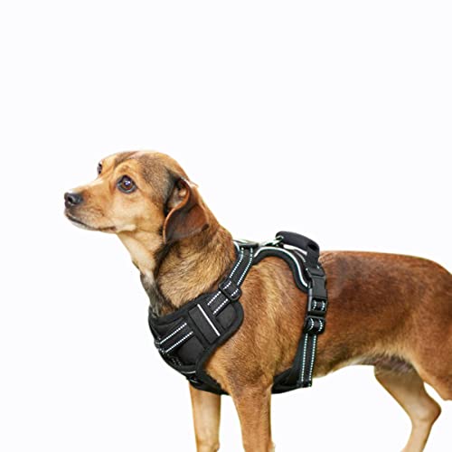 GOOPAWS Gepolstertes reflektierendes Hundegeschirr, leichtes Ripstop-Hundegeschirr, verstellbares Outdoor-Haustiergeschirr für kleine, mittelgroße und große Hunde GOOPAWS Gepolstertes reflektierendes Hundegeschirr, leichtes Ripstop-Hundegeschirr, verstellbares Outdoor-Haustiergeschirr für kleine, mittelgroße und große Hunde von GOOPAWS