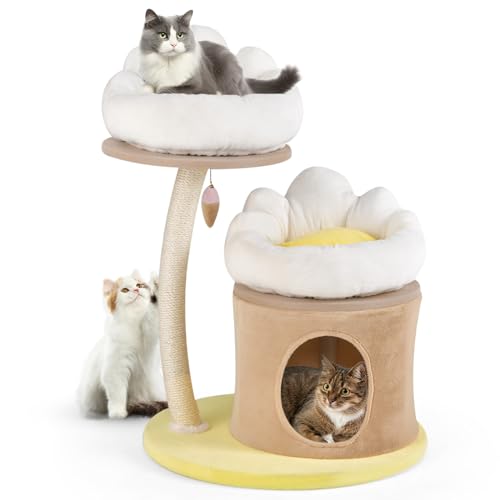 GOPLUS 83 cm Kratzbaum, Katzenbaum klein mit 2 abnehmbaren waschbaren Plattformen, gemütlicher Katzenhöhle, Sisalpfosten & interaktivem Hängespielzeug, kompakter Kletterturm für Hauskatzen GOPLUS 83 cm Kratzbaum, Katzenbaum klein mit 2 abnehmbaren waschbaren Plattformen, gemütlicher Katzenhöhle, Sisalpfosten & interaktivem Hängespielzeug, kompakter Kletterturm für Hauskatzen von GOPLUS