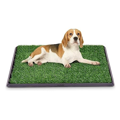 GOPLUS Hundetoilette, Welpentoilette, Trainingsunterlage für Hunde, Hundetöpfchen, Hunde Training, 51x76cm GOPLUS Hundetoilette, Welpentoilette, Trainingsunterlage für Hunde, Hundetöpfchen, Hunde Training, 51x76cm von GOPLUS