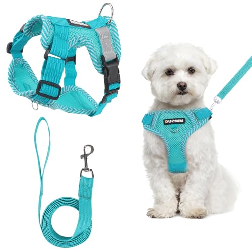 Anti Zug Hundegeschirr Kleine Mittelgroße Hunde, Mit Hundeleine Set,Atmungsaktiv Geschirr Hund Hundegeschirr Leuchtend, Empfohlenes Gewicht 5-7.5KG Anti Zug Hundegeschirr Kleine Mittelgroße Hunde, Mit Hundeleine Set,Atmungsaktiv Geschirr Hund Hundegeschirr Leuchtend, Empfohlenes Gewicht 5-7.5KG von GOTDYBST