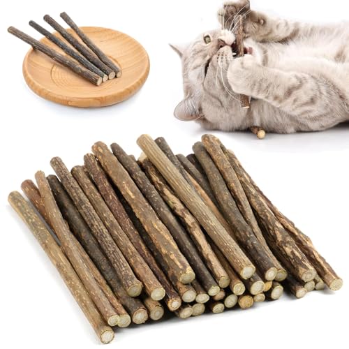 GOTDYBST 35stück Katzenminze Stick, Matatabi Stick Katze, Katzenminze Spielzeug - Natürlich Und Sicher, Kaustäbchen Für Katzen Zur Zahnpflege, Vorbeugung Von Mundgeruch Und Zähneknirschen GOTDYBST 35stück Katzenminze Stick, Matatabi Stick Katze, Katzenminze Spielzeug - Natürlich Und Sicher, Kaustäbchen Für Katzen Zur Zahnpflege, Vorbeugung Von Mundgeruch Und Zähneknirschen von GOTDYBST