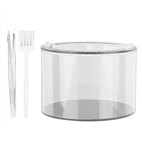 Acryl Reptilien Fütterungsbox, transparente Zuchtbox Terrarium mit Pinzette & Pinsel für Pet Spider Crickets Schnecken Acryl Reptilien Fütterungsbox, transparente Zuchtbox Terrarium mit Pinzette & Pinsel für Pet Spider Crickets Schnecken von GOTOTOP