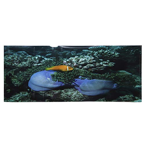 GOTOTOP Aquarium Poster,Meeresboden Gelb Fisch Muster Aquarium Hintergrund Poster PVC Kleber Aufkleber Aquarium Wallpaper Dekoration(122 * 50cm) von GOTOTOP