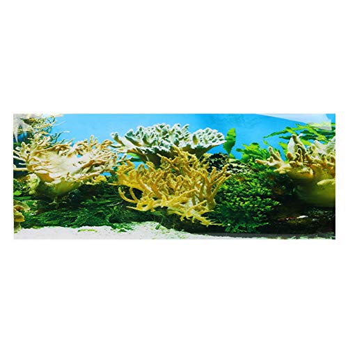 GOTOTOP Aquarium Poster,Wasserpflanzen Korallenmuster Aquarium Hintergrund Poster PVC Kleber Aufkleber Aquarium Wallpaper Dekoration(122 * 50cm) von GOTOTOP