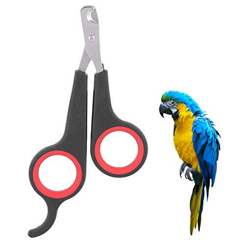 GOTOTOP Haustier Nagelknipser für Kleintiere, Nagelknipser und Klauenschneider Pflege-Tool für Vögel Papageien Kätzchen Kaninchen GOTOTOP Haustier Nagelknipser für Kleintiere, Nagelknipser und Klauenschneider Pflege-Tool für Vögel Papageien Kätzchen Kaninchen von GOTOTOP