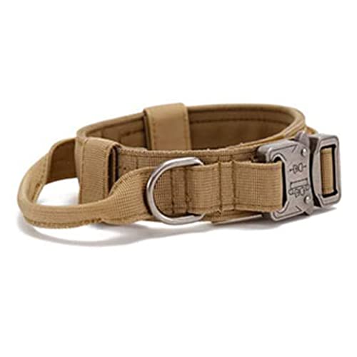 GOTOTOP Hundehalsband mit D-Ring, Verstellbares Hundehalsband mit Schnellverschluss-Metallschnalle für das Training Kleiner, Mittelgroßer und Großer Hunde (Khaki) von GOTOTOP