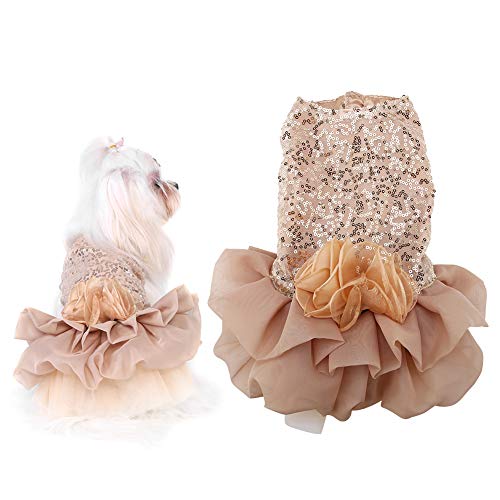 GOTOTOP Hundekleid, Haustier Hund Rock Welpe Katze Nette Pailletten Prinzessin Bubble Rock Hochzeitskostüm für kleine mittelgroße Hundekatze, Sommerkleidung(L-Gold) von GOTOTOP