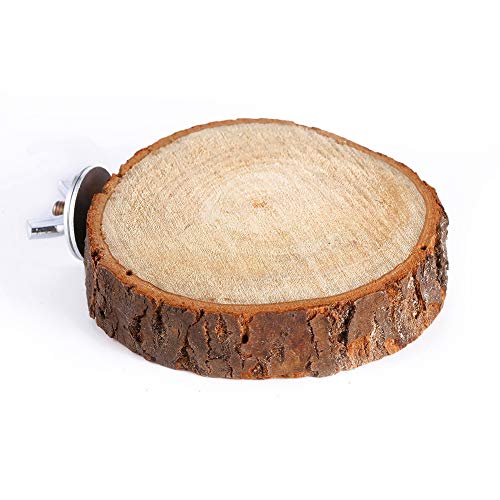 GOTOTOP Rundes hölzernes Vogel-Sprungbrett, Papageienholz-Barschplattform-Standgestell Spielzeugkäfig-Ständer für kleine Tiere Hamsterpapageien GOTOTOP Rundes hölzernes Vogel-Sprungbrett, Papageienholz-Barschplattform-Standgestell Spielzeugkäfig-Ständer für kleine Tiere Hamsterpapageien von GOTOTOP