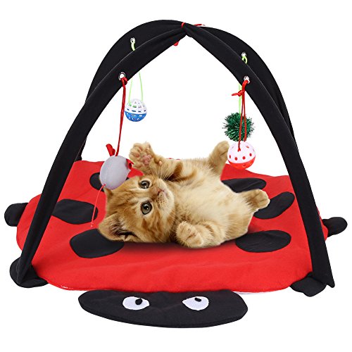 GOTOTOP Spielmatte für Katzen, aus Baumwolle, beweglich, mit Spielzeug, gepolstertes Bett von GOTOTOP
