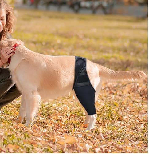 GOVNPJ Hunde Kniebandage,Kniebandage für Hunde mit Kreuzbandverletzungen, Patellaluxation oder Arthrose,Hundebeinstützen Hinterbeine Recovery Sleeve Hund, S von GOVNPJ
