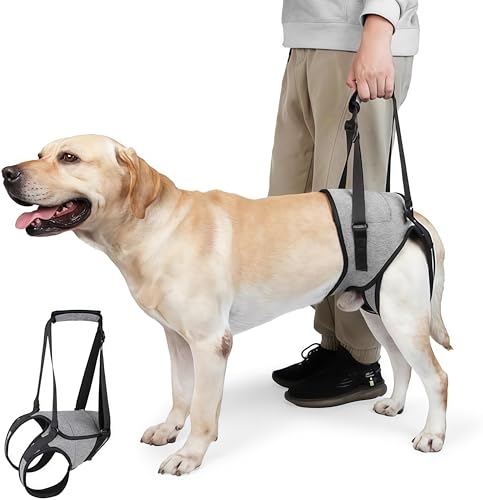 Hundehebegeschirr, Hundestützgeschirr für die Hinterbeine, weiche Hundestützschlaufe für verletzte behinderte kleine, mittlere und große Hunde, Treppenhilfe für Hunde Hundehebegeschirr, Hundestützgeschirr für die Hinterbeine, weiche Hundestützschlaufe für verletzte behinderte kleine, mittlere und große Hunde, Treppenhilfe für Hunde von GOVNPJ