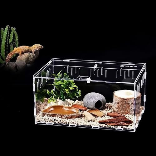 Insekten-Terrarium Set, Acrylglasbehälter, Reptile Fütterungsbox, Tragbarer Reptilien Insect Feeding geeignet für Spinnen, Geckos, Eidechsen, Frösche, Skorpione(30cm x 20cm x 15cm) von GOVNPJ