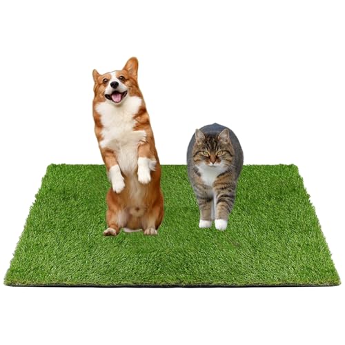 Kunstrasen Hundeklo Balkon Hundetoilette Ersetzen Rasen Welpentoilette Wiederverwendbar Training Pee Pads für Kleine Grosser ältere Hunde für Ältere, Kleine, Grosse Hunde+1 × Schwarze Faltschale Kunstrasen Hundeklo Balkon Hundetoilette Ersetzen Rasen Welpentoilette Wiederverwendbar Training Pee Pads für Kleine Grosser ältere Hunde für Ältere, Kleine, Grosse Hunde+1 × Schwarze Faltschale von GOVNPJ