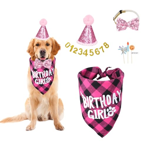 GOZINA Hunde-Geburtstags-Halstuch-Set, Hunde-Geburtstagshut und Fliege mit verstellbarem Gummiband, Hundegeburtstagstortenaufsatz, Goldpulver-Zahlenmuster, Geburtstagsgeschenk für Mädchen, GOZINA Hunde-Geburtstags-Halstuch-Set, Hunde-Geburtstagshut und Fliege mit verstellbarem Gummiband, Hundegeburtstagstortenaufsatz, Goldpulver-Zahlenmuster, Geburtstagsgeschenk für Mädchen, von GOZINA