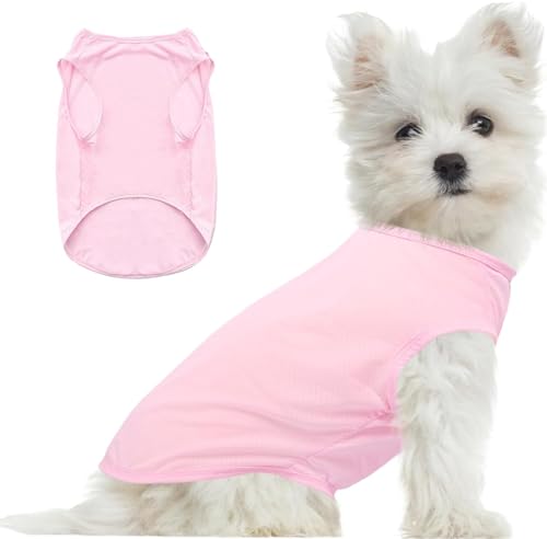 Hunde Shirt Sommer, Kühlwesten für Hunde, Hund UV Schutz T-Shirt, Hundekostüm, Hundehemd Tshirt, Haustier Tshirt für Kleine Mittelgroße Hund Katzen, Haustier Kleidung für Chihuahua, Yorkie (Rosa,L) Hunde Shirt Sommer, Kühlwesten für Hunde, Hund UV Schutz T-Shirt, Hundekostüm, Hundehemd Tshirt, Haustier Tshirt für Kleine Mittelgroße Hund Katzen, Haustier Kleidung für Chihuahua, Yorkie (Rosa,L) von GQDGCU