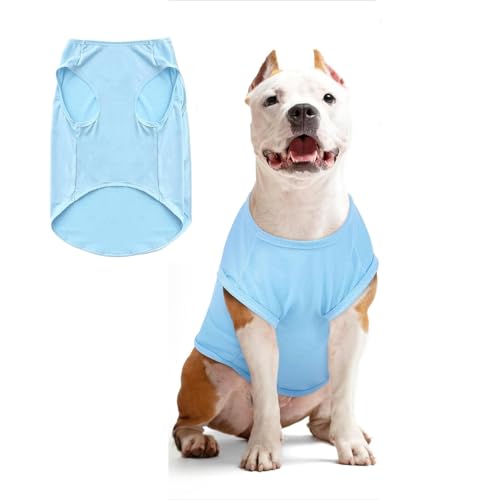 Hunde Shirt Sommer, Kühlwesten für Hunde, Hund UV Schutz T-Shirt, Hundekostüm, Hundehemd Tshirt, Haustier Tshirt für Kleine Mittelgroße Hund Katzen, Haustier Kleidung für Chihuahua, Yorkie (Blau,M) Hunde Shirt Sommer, Kühlwesten für Hunde, Hund UV Schutz T-Shirt, Hundekostüm, Hundehemd Tshirt, Haustier Tshirt für Kleine Mittelgroße Hund Katzen, Haustier Kleidung für Chihuahua, Yorkie (Blau,M) von GQDGCU