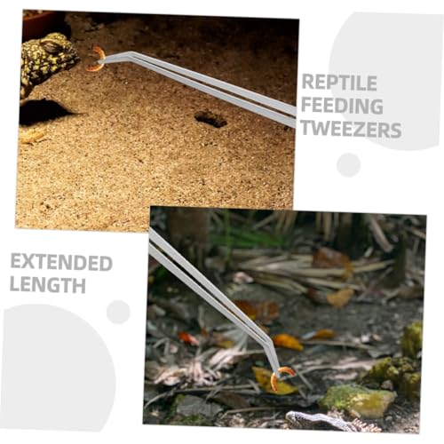 GRADENEVE 2 Stück Edelstahl Futterzange Gerade Gebogen Reptilien Fütterungszange Terrarien Futterclip Langlebig Ergonomisch für Präzises Handling von Echsen und Reptilien von GRADENEVE