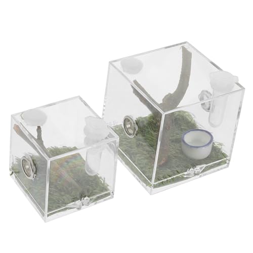 GRADENEVE 2 Stück Teiliges Transparentes Spinnen Terrarium aus Bruchsicherem Acryl mit Futteröffnung Geeignet für Springspinnen Insekten und Kleine Reptilien Klare Beobachtung und Sichere von GRADENEVE
