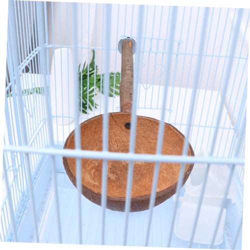 GRADENEVE Natürliche Kokosnussschale Futternapf für Papageien mit Stabilem Holzständer Vielseitiges Vogelspielzeug und Attraktiv für Wellensittiche und Andere Ziervögel von GRADENEVE