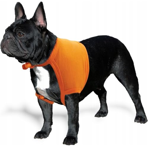 GRANDE FINALE Schutztrikot nach Operationen, Kratzfest, Widerrist für Hunde, Katzen, Kaninchen von GRANDE FINALE