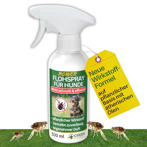 GREEN GUARDIA Flöhe Abwehrspray Power-Konzentrat 500 ml – Pflanzlicher Zecken- & Flohschutz für Hunde – Sprühfertig & sofort wirksam – Ideal für Fell, Liegeplätze & unterwegs – mit ätherischen Ölen GREEN GUARDIA Flöhe Abwehrspray Power-Konzentrat 500 ml – Pflanzlicher Zecken- & Flohschutz für Hunde – Sprühfertig & sofort wirksam – Ideal für Fell, Liegeplätze & unterwegs – mit ätherischen Ölen von GREEN GUARDIA