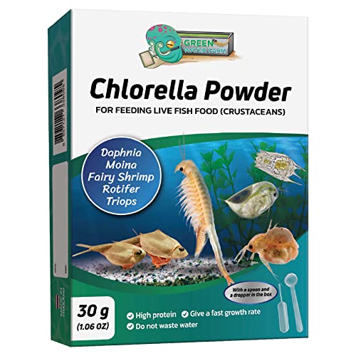 GREEN WATER FARM Konzentriertes Chlorella-Pulver zur Fütterung von Krebstieren – Daphnien, Moina, Rotifer, Feengarnelen und anderes Lebendfischfutter GREEN WATER FARM Konzentriertes Chlorella-Pulver zur Fütterung von Krebstieren – Daphnien, Moina, Rotifer, Feengarnelen und anderes Lebendfischfutter von GREEN WATER FARM