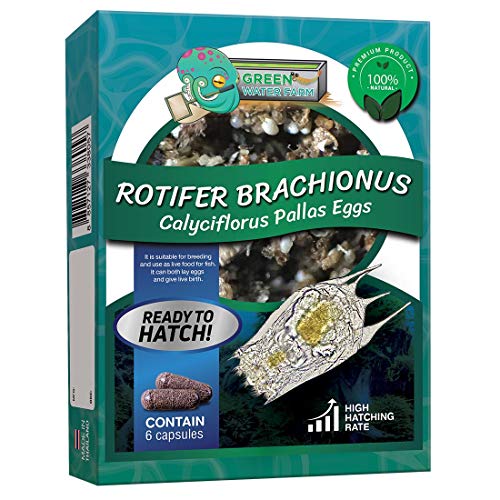 Greenwaterfarm [Rotifers Brachionus calyciflorus Pallas Eggs] Wappen-Rädertier Eier; Lebendes Fischfutter zum Schlüpfen, geeignet zum Futtern für Kampffische von GREEN WATER FARM