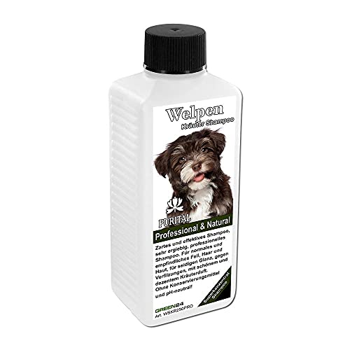 PURITAL Welpen-Shampoo - Profi Hunde-Shampoo für Welpen - Kräuter-Shampoo Premium - Sehr ergiebiges Super-Konzentrat von GREEN24