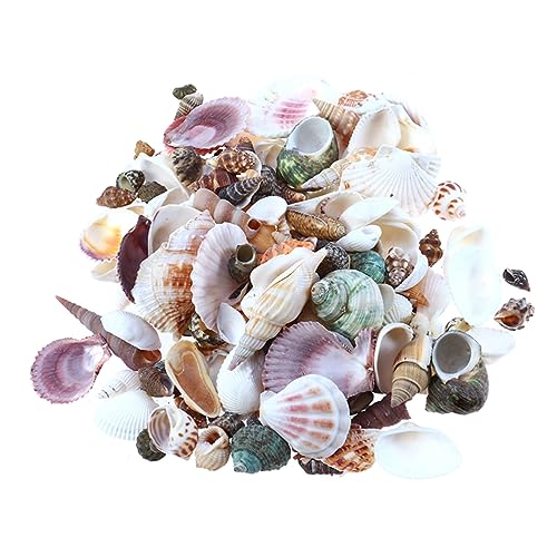 GREENADSCAPE -Aquarium-Muschelschalen-Dekoration für Aquarien 21-teilig natürliche Muschelornamente Aquarienmuscheln sicher für Fische Landschaftsgestaltung von Aquarien GREENADSCAPE -Aquarium-Muschelschalen-Dekoration für Aquarien 21-teilig natürliche Muschelornamente Aquarienmuscheln sicher für Fische Landschaftsgestaltung von Aquarien von GREENADSCAPE