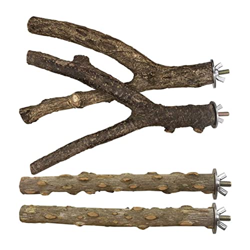 GREENADSCAPE 1 Set Holz Papagei Stehen Rack Vogel Spielen Stand Ausbildung Stehen Grau Kaffee Papagei Spielzeug Vogel Spielen Stehen GREENADSCAPE 1 Set Holz Papagei Stehen Rack Vogel Spielen Stand Ausbildung Stehen Grau Kaffee Papagei Spielzeug Vogel Spielen Stehen von GREENADSCAPE