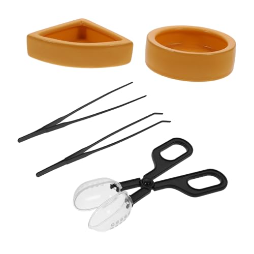 GREENADSCAPE Startseite Reptilien Feeder 1 Set Fütterung Pinzette Tong Cup Platte für Reptilien Einfach zu bedienen und zu reinigen GREENADSCAPE Startseite Reptilien Feeder 1 Set Fütterung Pinzette Tong Cup Platte für Reptilien Einfach zu bedienen und zu reinigen von GREENADSCAPE