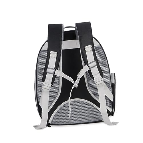 GREENADSCAPE Tragbarer atmungsaktiver Netz-Rucksack für Katzen mit weichen Seiten zum Tragen von Haustieren von GREENADSCAPE