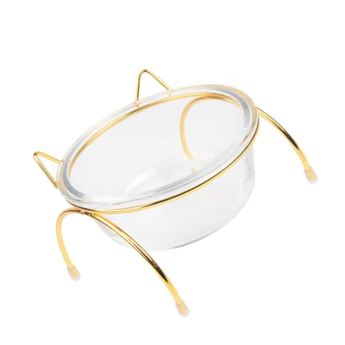 GREENADSCAPE Katzennapf mit hohem Fuß erhöhter Futterständer für Haustiere Katzenfutternapf aus Glas bequemer Neigungswinkel einfache Installation GREENADSCAPE Katzennapf mit hohem Fuß erhöhter Futterständer für Haustiere Katzenfutternapf aus Glas bequemer Neigungswinkel einfache Installation von GREENADSCAPE