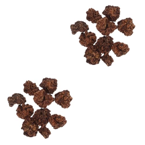 GREENADSCAPE 20 STK Kauball Für Haustiere Zähneknirschende Kauspielzeuge Katzenminze Stick Katzenranke Kauball Für Katzen Beißball Für Haustiere Kauspielzeug Für Katzen Reinigungsspielzeug GREENADSCAPE 20 STK Kauball Für Haustiere Zähneknirschende Kauspielzeuge Katzenminze Stick Katzenranke Kauball Für Katzen Beißball Für Haustiere Kauspielzeug Für Katzen Reinigungsspielzeug von GREENADSCAPE