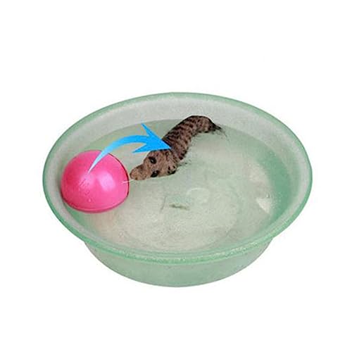 GREENADSCAPE Elektrischer Rollender Ball Aus Kunststoff Mausspielzeug Für Katzen Biber Batteriebetrieben Motorisiert Zum Jagen Und Spielen GREENADSCAPE Elektrischer Rollender Ball Aus Kunststoff Mausspielzeug Für Katzen Biber Batteriebetrieben Motorisiert Zum Jagen Und Spielen von GREENADSCAPE