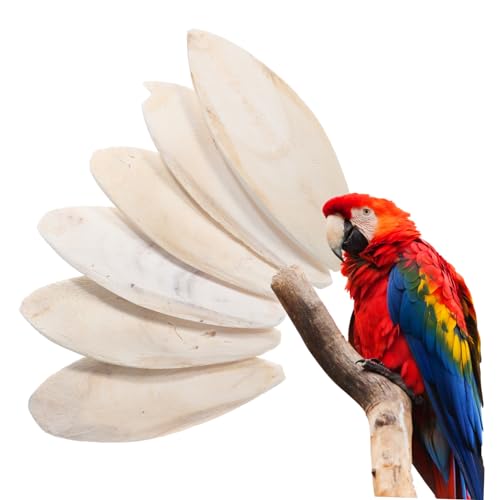GREENADSCAPE Conure Sittich Spielzeug 6 Stück Natürliche Sepiaschale Vogel Kauspielzeug Vogelkäfig Zubehör Sicheres Haustier Kaumaterial von GREENADSCAPE