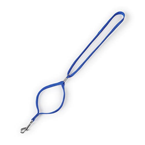 GREENADSCAPE Seile-Set Für Die Tierpflege 6-teilig 48 cm Seile Für Die Hundepflege Und Das Training Zufällige Farbe GREENADSCAPE Seile-Set Für Die Tierpflege 6-teilig 48 cm Seile Für Die Hundepflege Und Das Training Zufällige Farbe von GREENADSCAPE