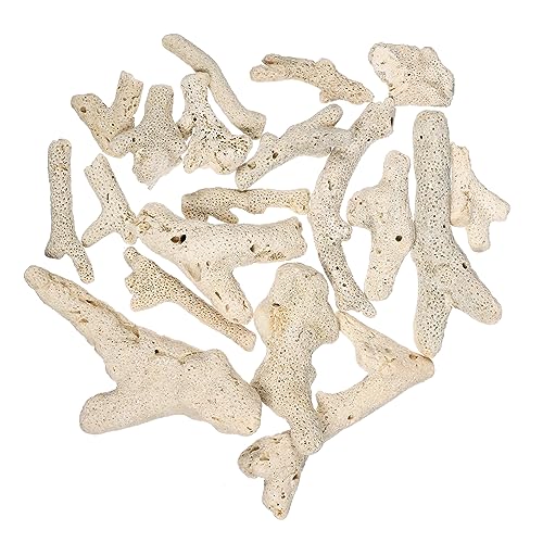 GREENADSCAPE Aquarium Stein Fisch Tank Filtermaterial 500g Zerkleinert Für Anpassung 3-10cm GREENADSCAPE Aquarium Stein Fisch Tank Filtermaterial 500g Zerkleinert Für Anpassung 3-10cm von GREENADSCAPE