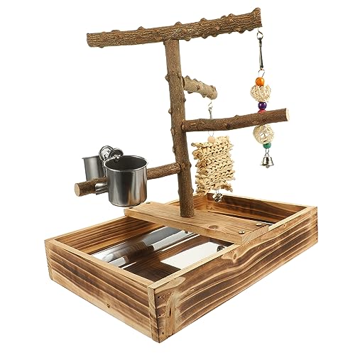 GREENADSCAPE Desktop Papageienstand Aus Holz Interaktive Sitzstange Für Wellensittiche Vögel Und Papageien Fördert Bewegung Und Koordination Sicheres Material Für Vogelkäfige GREENADSCAPE Desktop Papageienstand Aus Holz Interaktive Sitzstange Für Wellensittiche Vögel Und Papageien Fördert Bewegung Und Koordination Sicheres Material Für Vogelkäfige von GREENADSCAPE