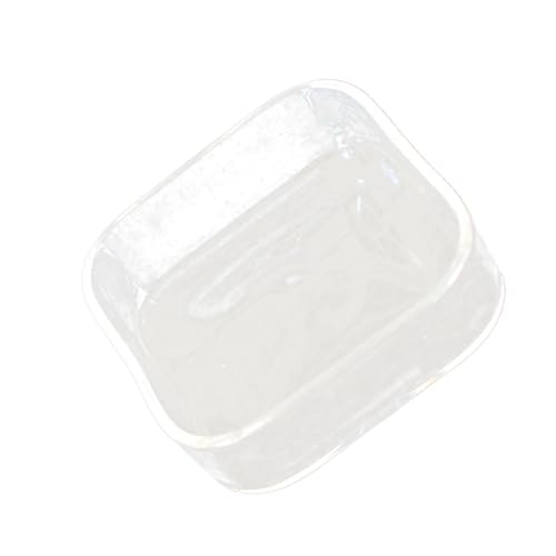 GREENADSCAPE Glasfutternapf Für Reptilien Dichtes Glas Für Schildkröten Eidechsen Futter- Wassernapf Transparenter Futternapf von GREENADSCAPE