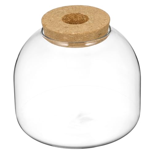 GREENADSCAPE Glas-Terrarium-landschaftsglas Mit Moos Für Aquarien Hydrokulturpflanzen Und Einzigartige Heimdekoration von GREENADSCAPE