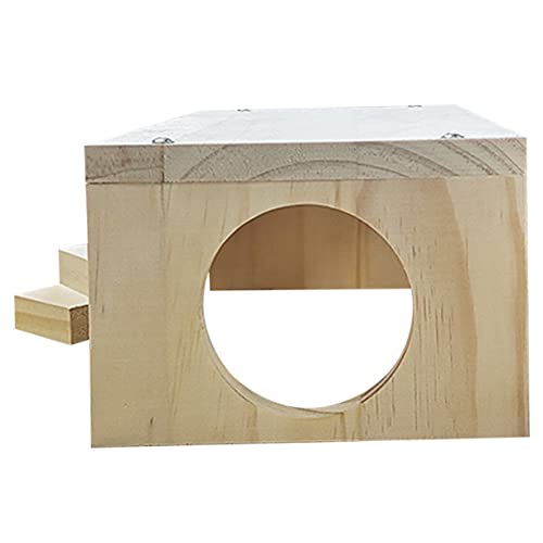 GREENADSCAPE Hamster Kletterplattform Mit Leiter Interaktives Spielzeug Für Kleintiere Für Hamsterkäfige Und Dekoration Fördert Und Beschäftigung GREENADSCAPE Hamster Kletterplattform Mit Leiter Interaktives Spielzeug Für Kleintiere Für Hamsterkäfige Und Dekoration Fördert Und Beschäftigung von GREENADSCAPE