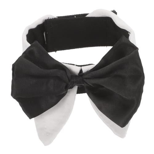 GREENADSCAPE Katzenhalsband Mit Schleife Verstellbar Leichtem Material Verarbeitung Schnell Reinigbar Nicht Verblecken Sicher Für Haustiere GREENADSCAPE Katzenhalsband Mit Schleife Verstellbar Leichtem Material Verarbeitung Schnell Reinigbar Nicht Verblecken Sicher Für Haustiere von GREENADSCAPE