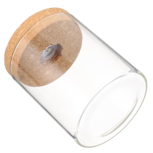 GREENADSCAPE Mini-Aquarium Aus Glas Zylindrische Glasflasche Ökologische Flasche Mit Led-licht Im Deckel Für Dekoration Und Blumenarrangement GREENADSCAPE Mini-Aquarium Aus Glas Zylindrische Glasflasche Ökologische Flasche Mit Led-licht Im Deckel Für Dekoration Und Blumenarrangement von GREENADSCAPE