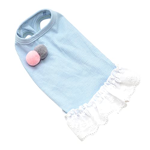 GREENADSCAPE Pet-Spitzenrock Haustierzubehör Welpenkleidung Haustierkleidung Outfitt Hund Zebra pet Supplies haustierbedarf Haustierbekleidungszubehör Hundekleid Rockkostü für Hund Blue von GREENADSCAPE